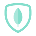mongodb